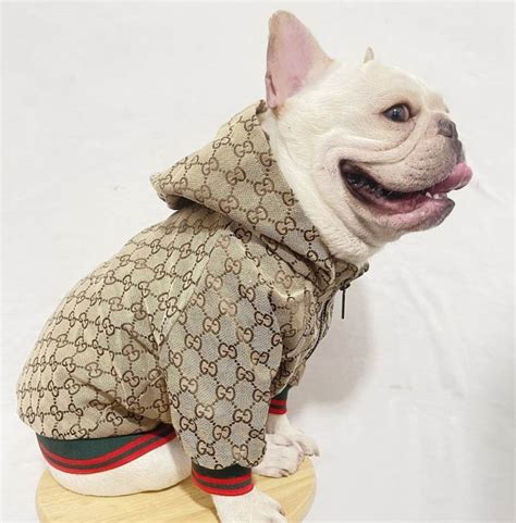 fake designer dog clothes uk|designer4dogs uk.